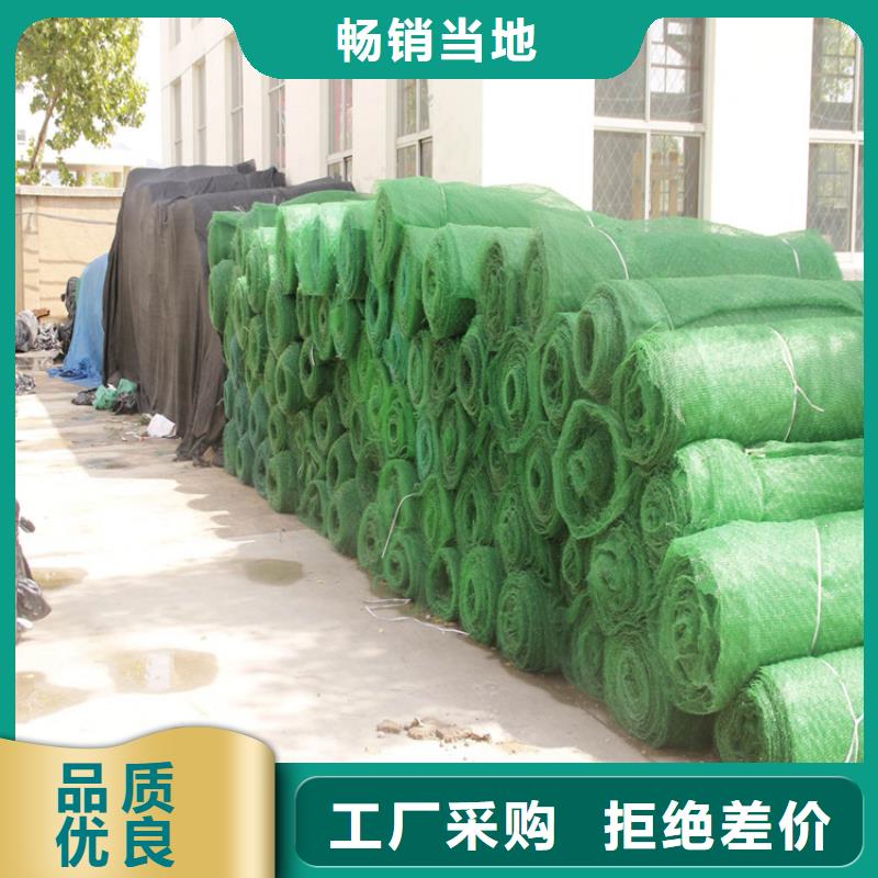 三维植被网土工布源头工厂