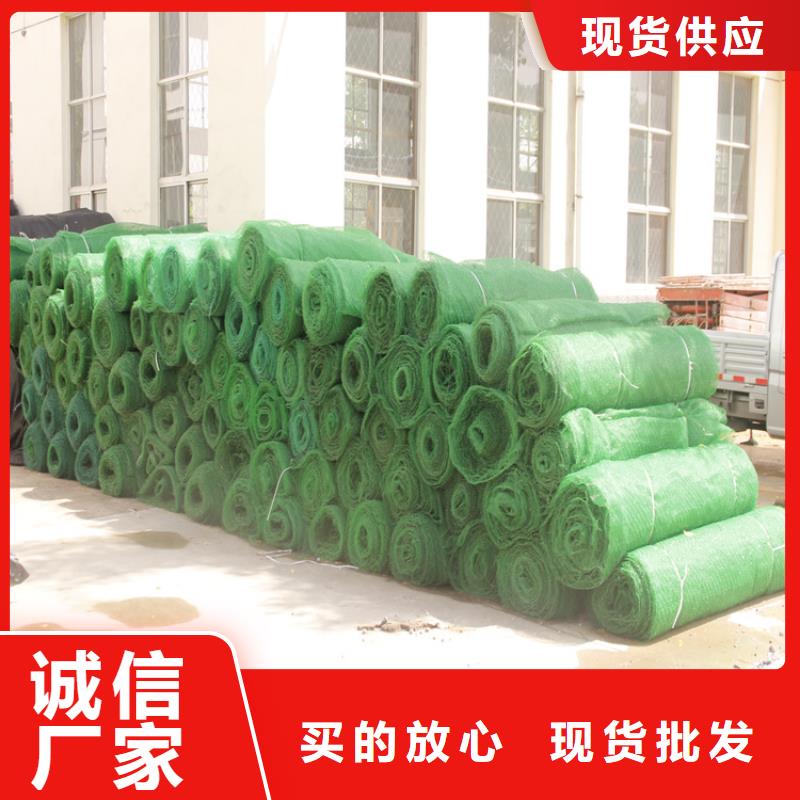三维植被网土工布源头工厂
