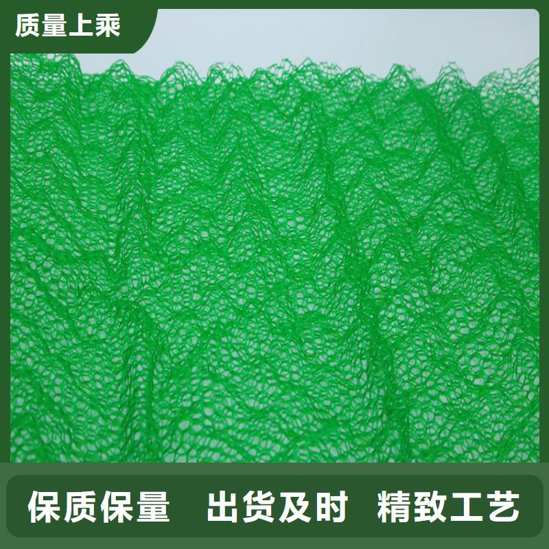 三维植被网防渗膜您身边的厂家
