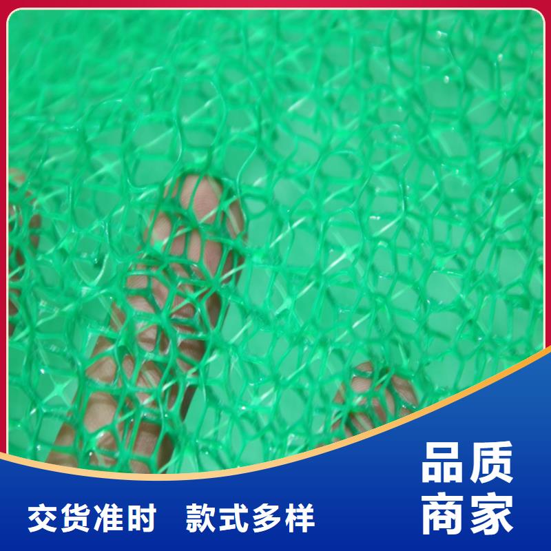 三维植被网防渗膜用品质赢得客户信赖