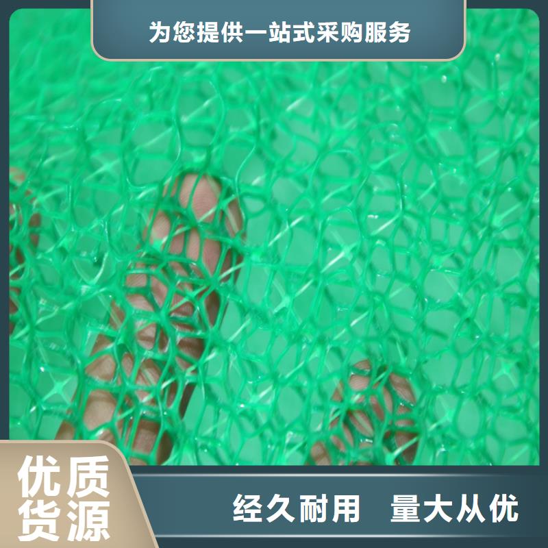 三维植被网土工布源头工厂