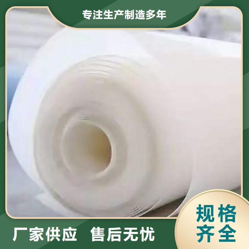 防水板土工膜定制定做