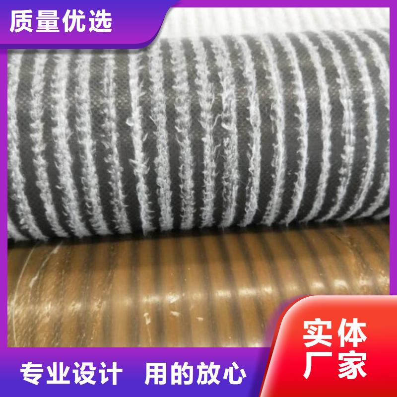 【膨润土防水毯防水板专注细节更放心】