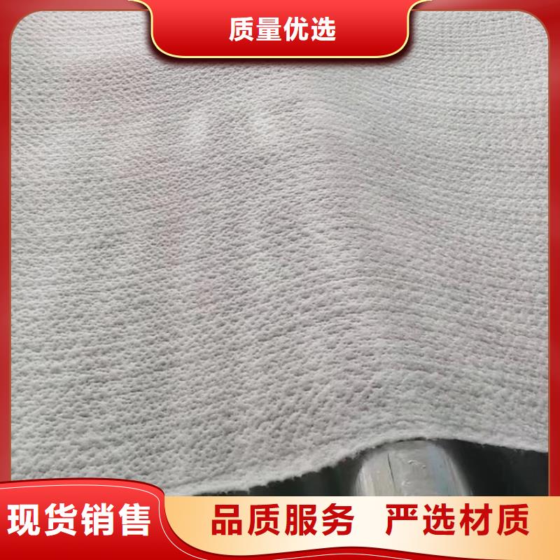 【膨润土防水毯防水板专注细节更放心】
