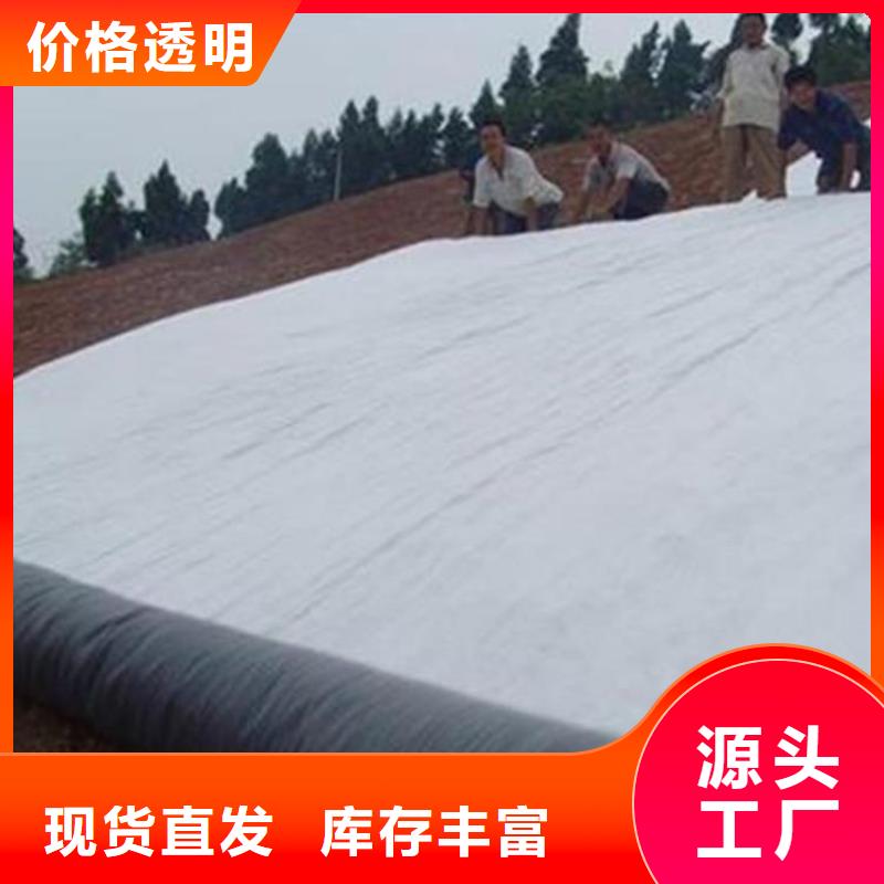 膨润土防水毯-【防水毯】好品质经得住考验