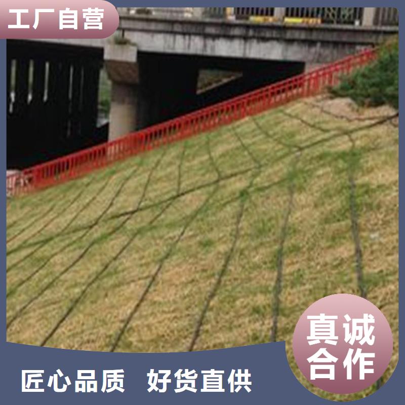 椰丝毯HDPE土工膜销售的是诚信