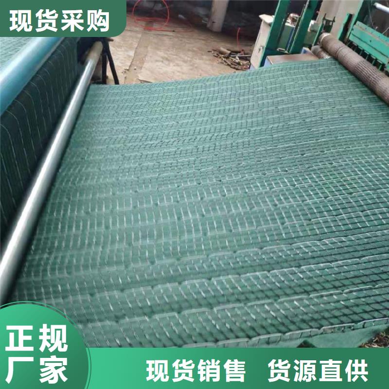 环保草毯草籽植生毯
