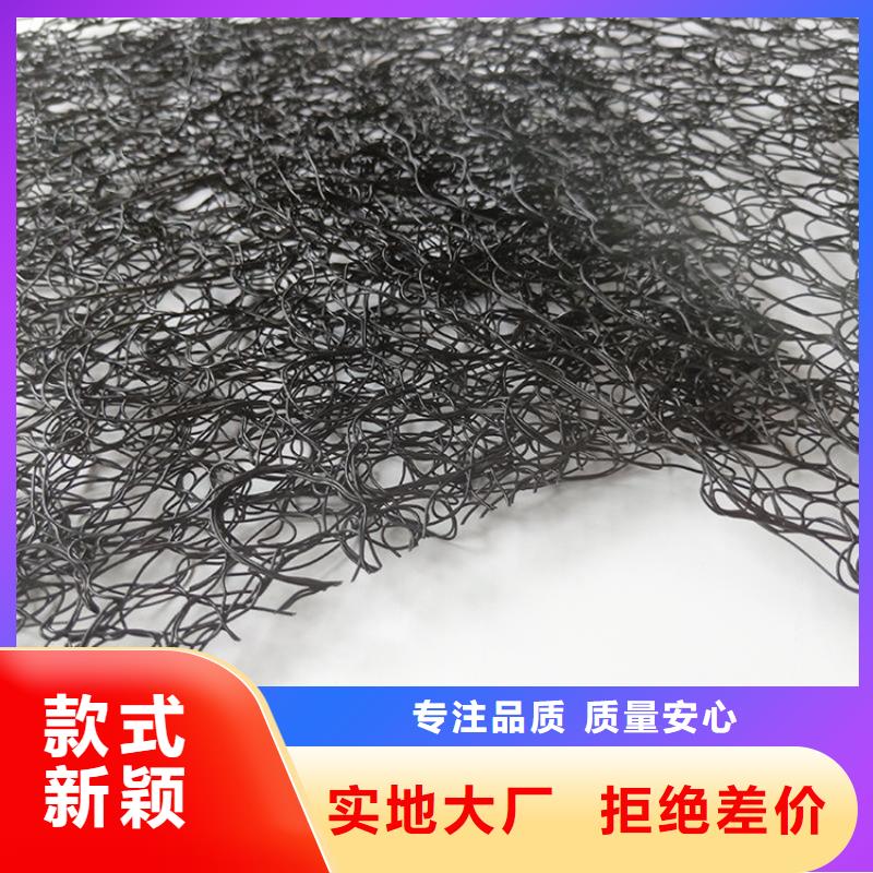通风降噪丝网,三维植被网甄选好厂家