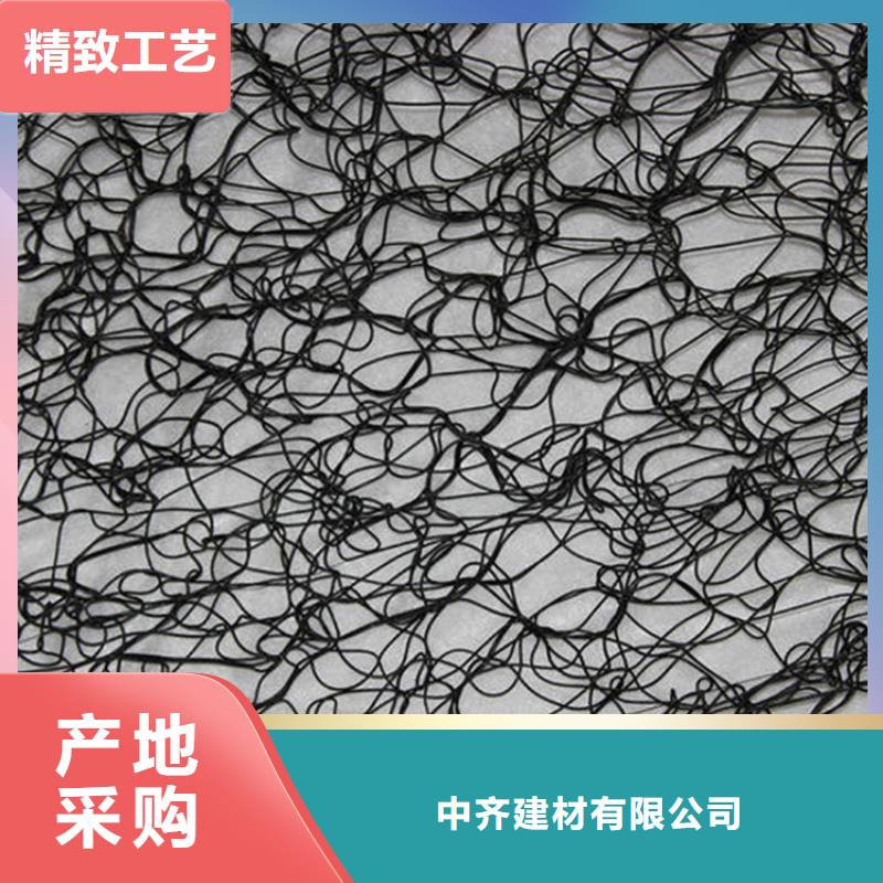 通风降噪丝网_三维植被网厂家经验丰富