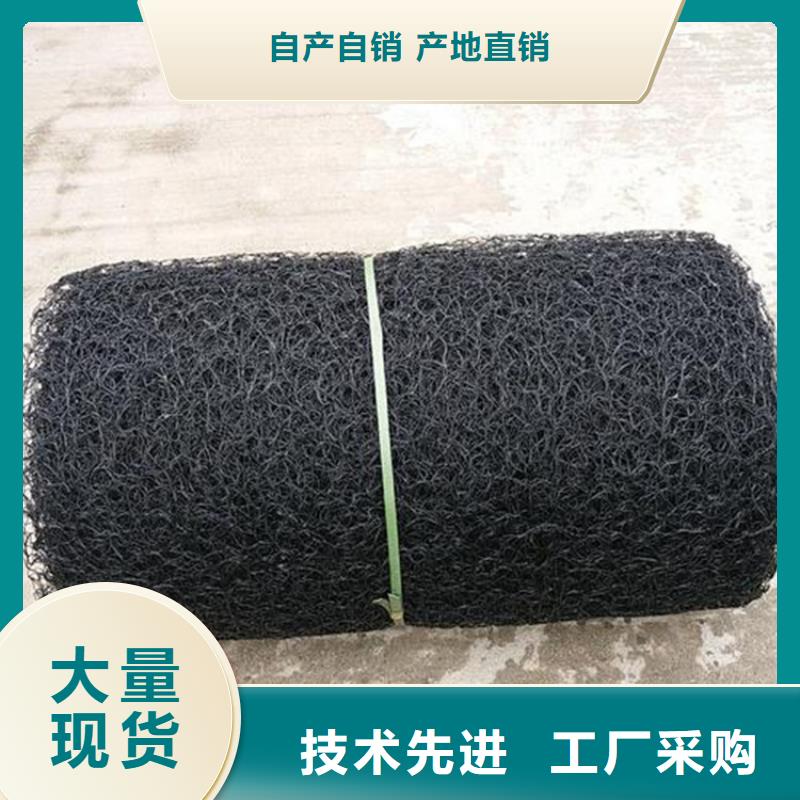 通风降噪丝网_三维植被网厂家经验丰富