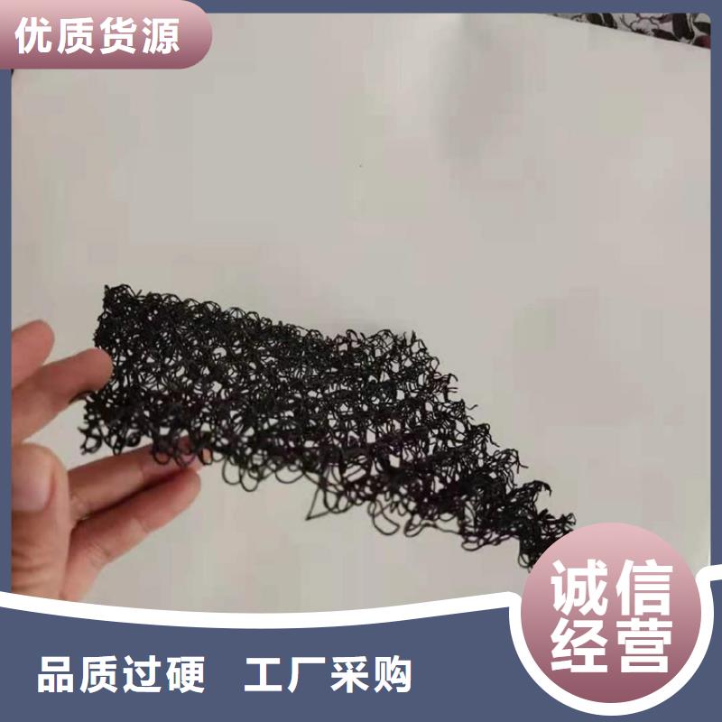 水土保护毯防水毯多年实力厂家