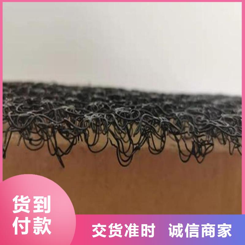 水土保护毯防水毯多年实力厂家