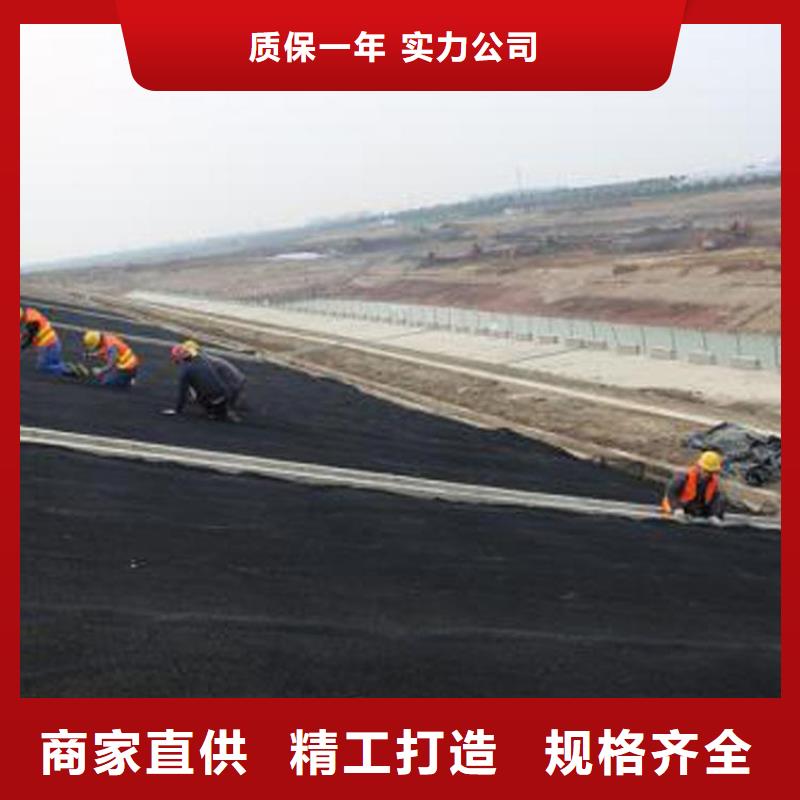 水土保护毯防水毯多年实力厂家