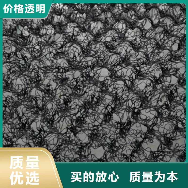 水土保护毯防水毯多年实力厂家