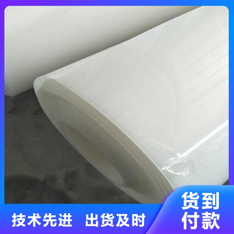 防水板植草格品质过硬
