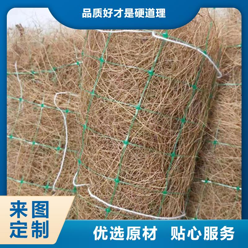 椰丝毯双向塑料土工格栅价格低