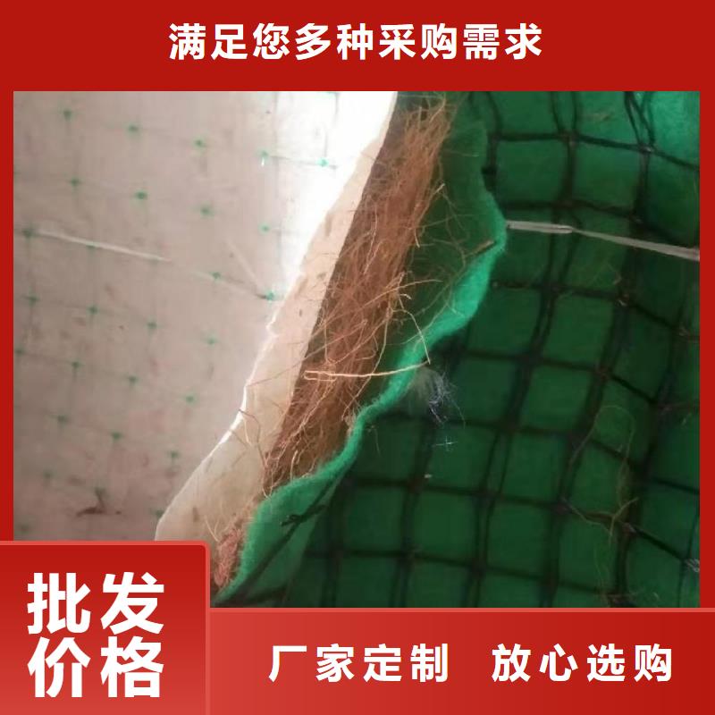 椰丝毯双向塑料土工格栅敢与同行比价格