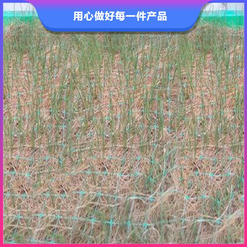 椰丝毯生态带免费回电