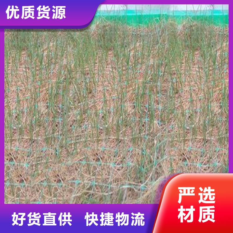 椰丝毯生态带免费回电