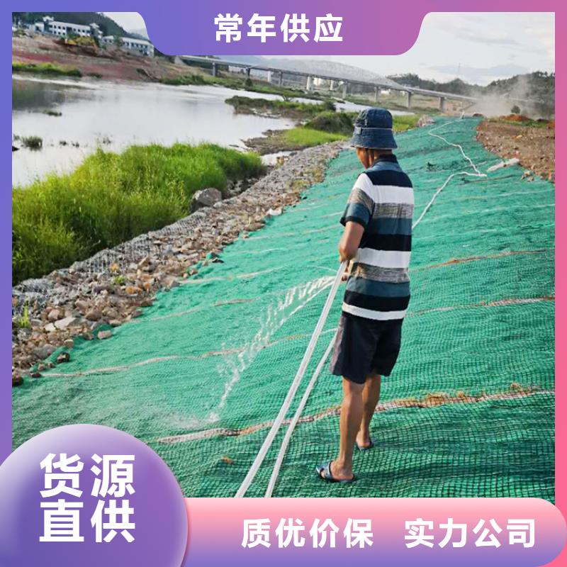 椰丝毯植草格国标检测放心购买