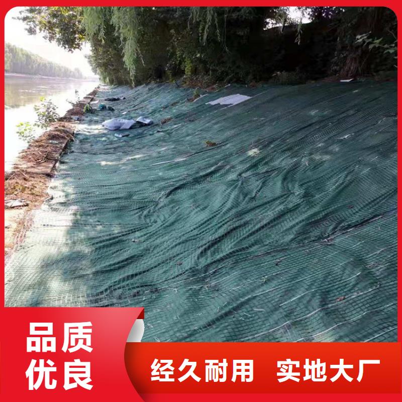 抗冲椰丝毯颜色
