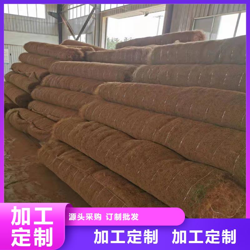 椰丝毯双向塑料土工格栅价格低