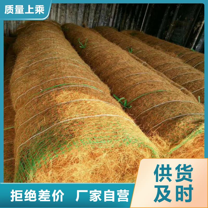 抗冲椰丝毯颜色