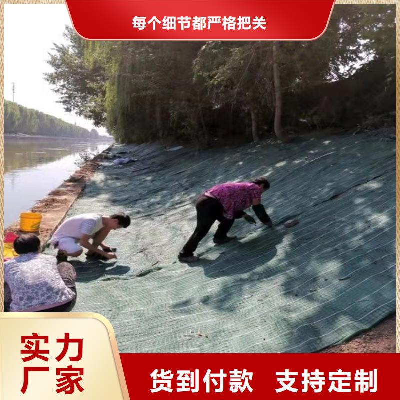 抗冲椰丝毯颜色
