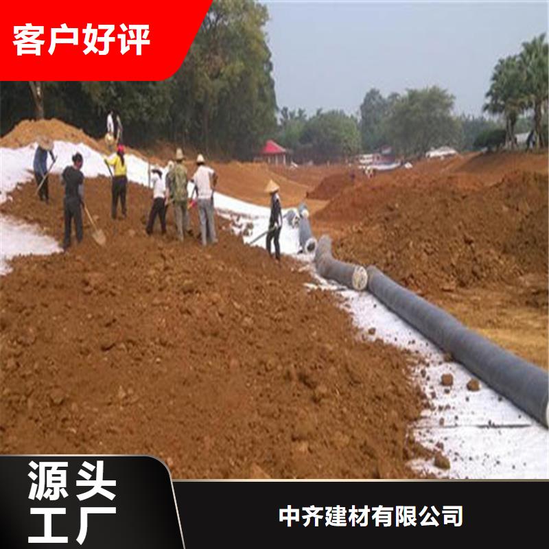膨润土防水毯防渗膜厂家大量现货