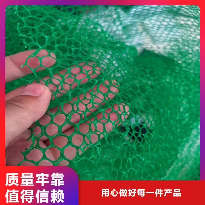 【三维植被网】拉筋带不只是质量好