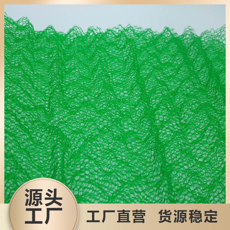 三维植被网,植草格厂家销售