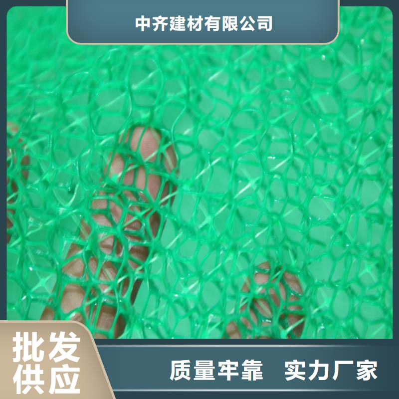 三维植被网,植草格厂家销售
