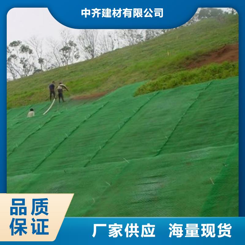【三维植被网-聚酯长丝土工布质量三包】