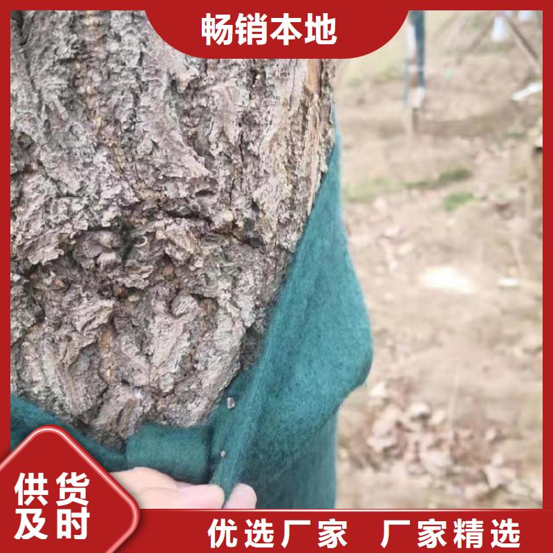 裹树布通风降噪丝网厂家批发价