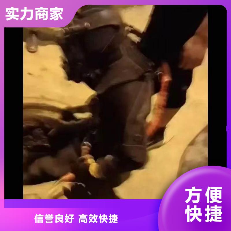 水下作业潜水员服务 【水下清障】高品质