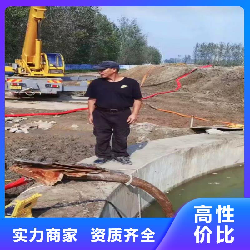 县水下施工蛙人服务实时价格