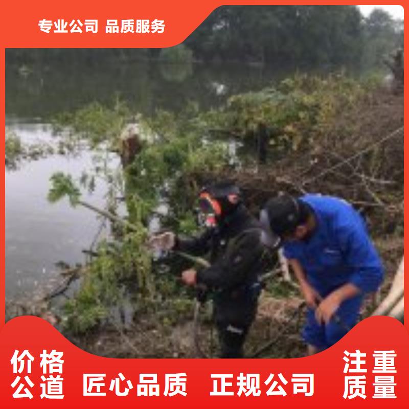 实力雄厚的水下堵漏施工队供货商