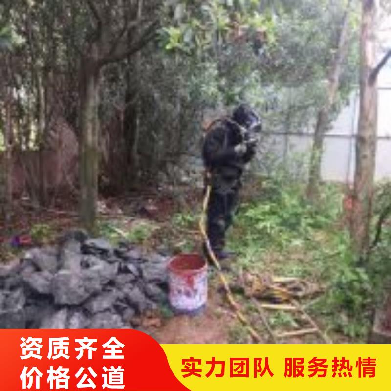 潜水员堤防工程施工多家服务案例