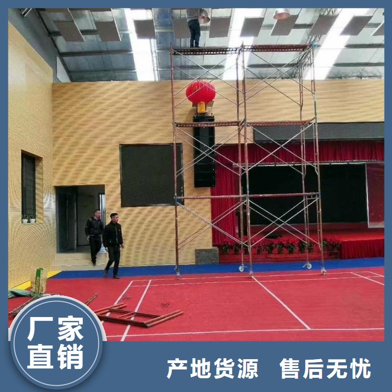 县专业体育馆吸音改造方案--2025近方案/价格