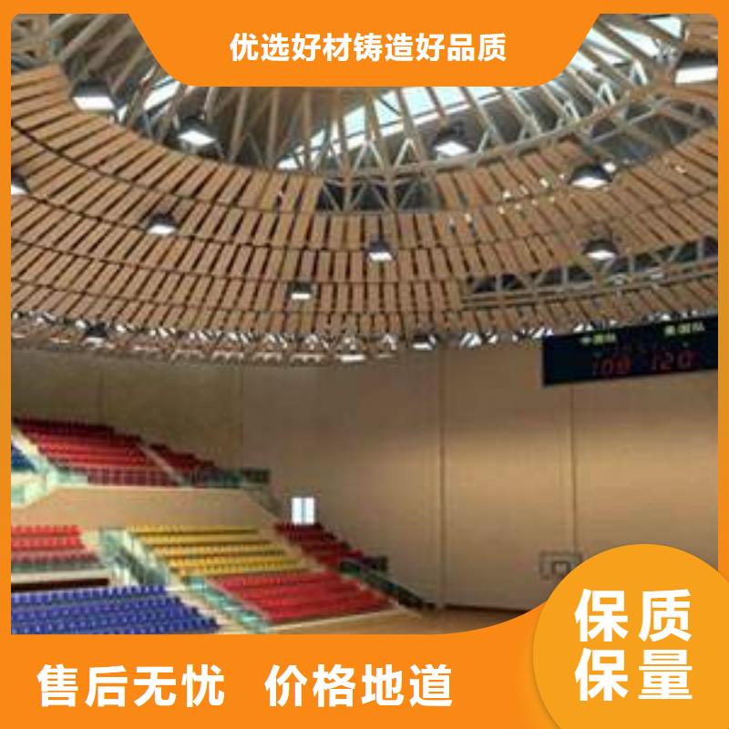 县专业体育馆吸音改造方案--2025近方案/价格