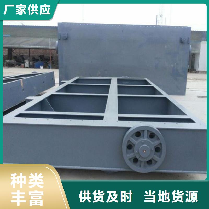 泵站铸铁闸门-实体厂家