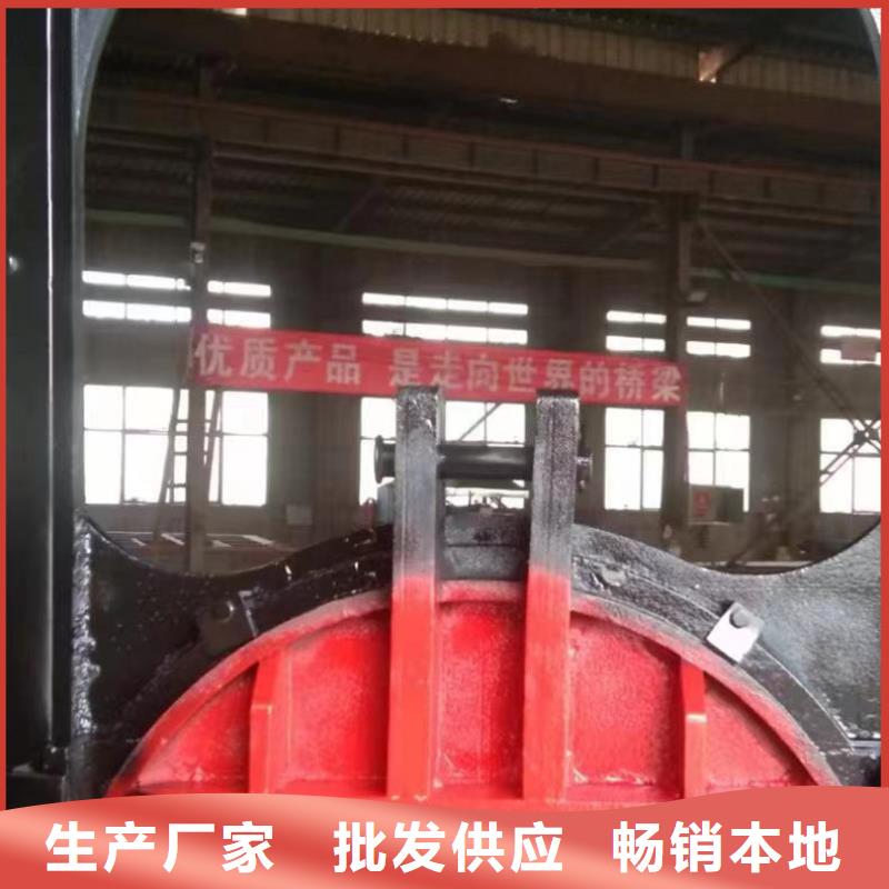镶铜铸铁闸门结实耐用