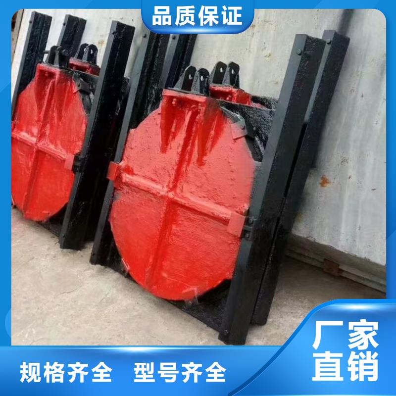 镶铜铸铁闸门结实耐用