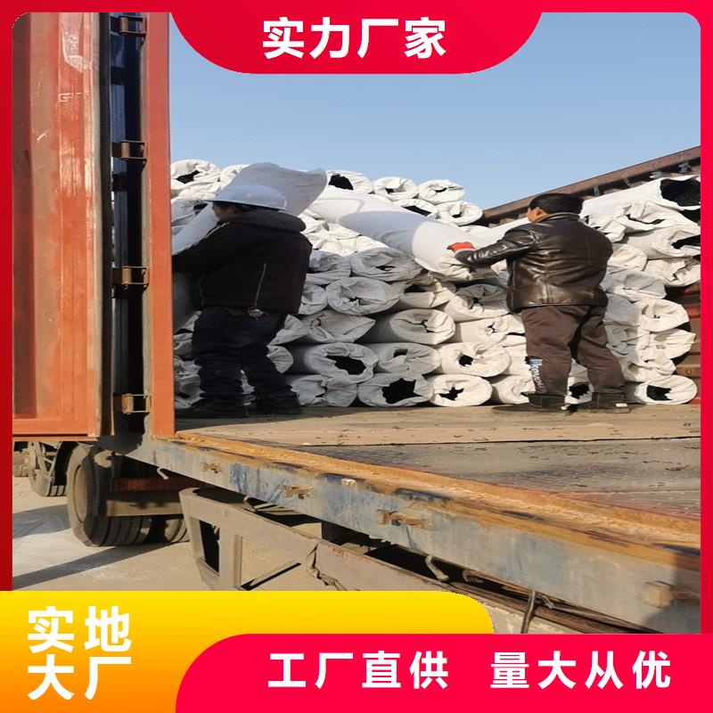 金鸿耀聚丙烯纤维生产厂家排水盲管_【土工膜】应用范围广泛通金宝