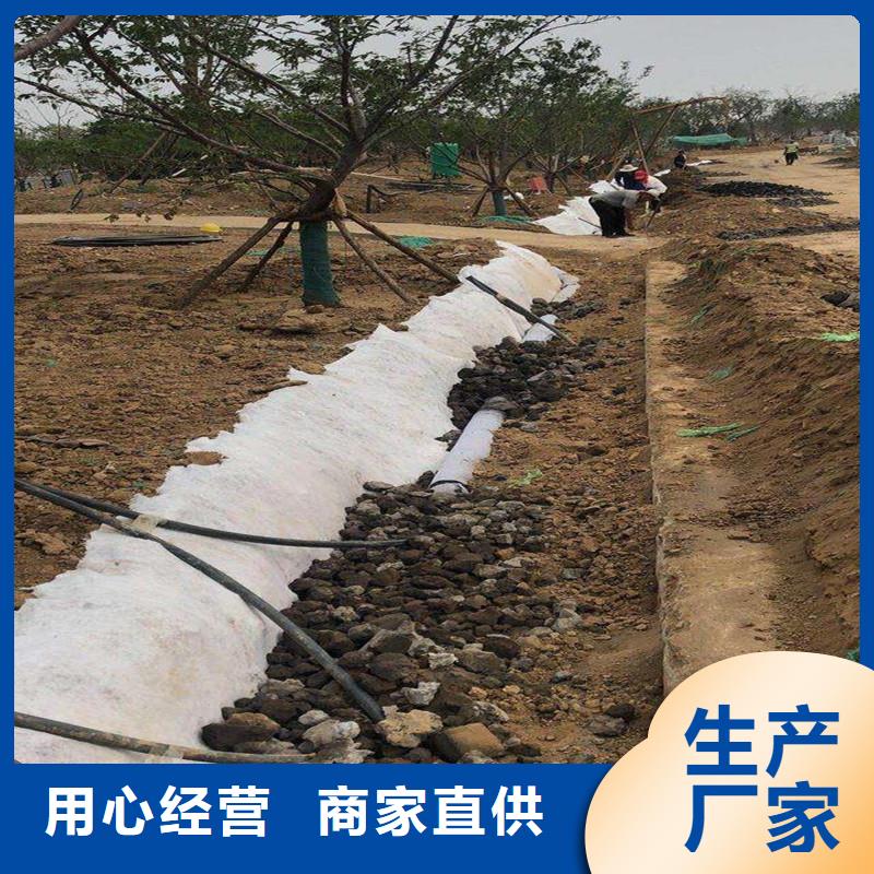 塑料排水盲管80cc图片及价格如何挑选