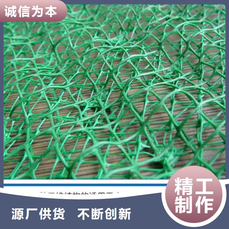 三维植被网聚丙烯网状纤维一手货源