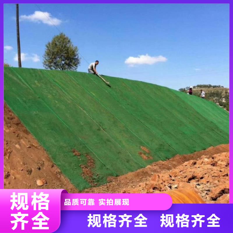 三维植被网聚丙烯网状纤维一手货源