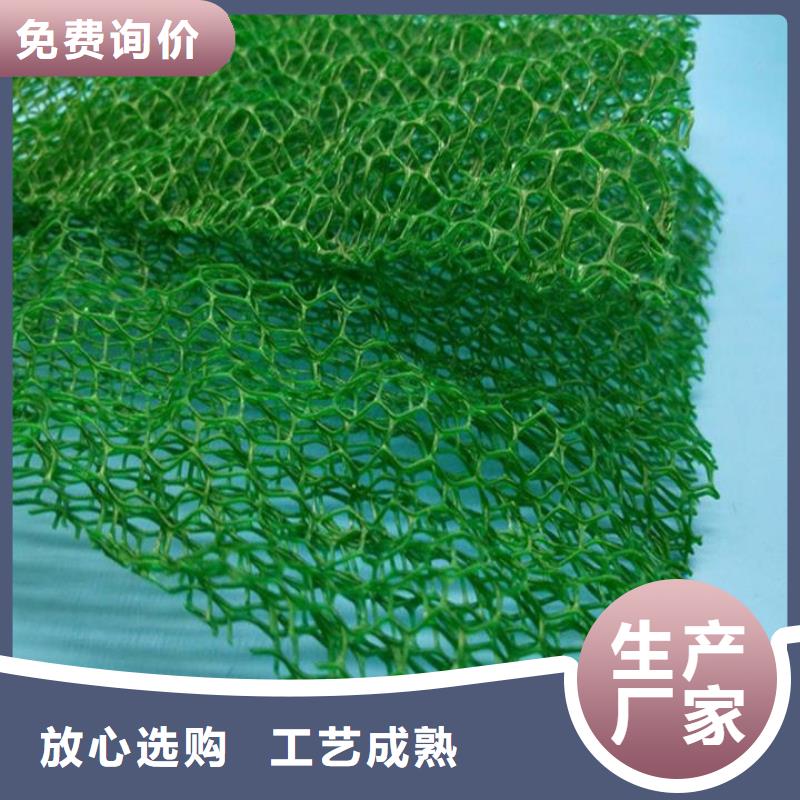 三维植被网聚丙烯网状纤维一手货源