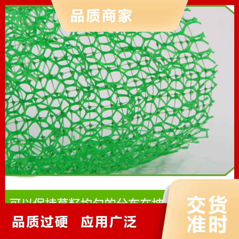三维植被网聚丙烯网状纤维一手货源