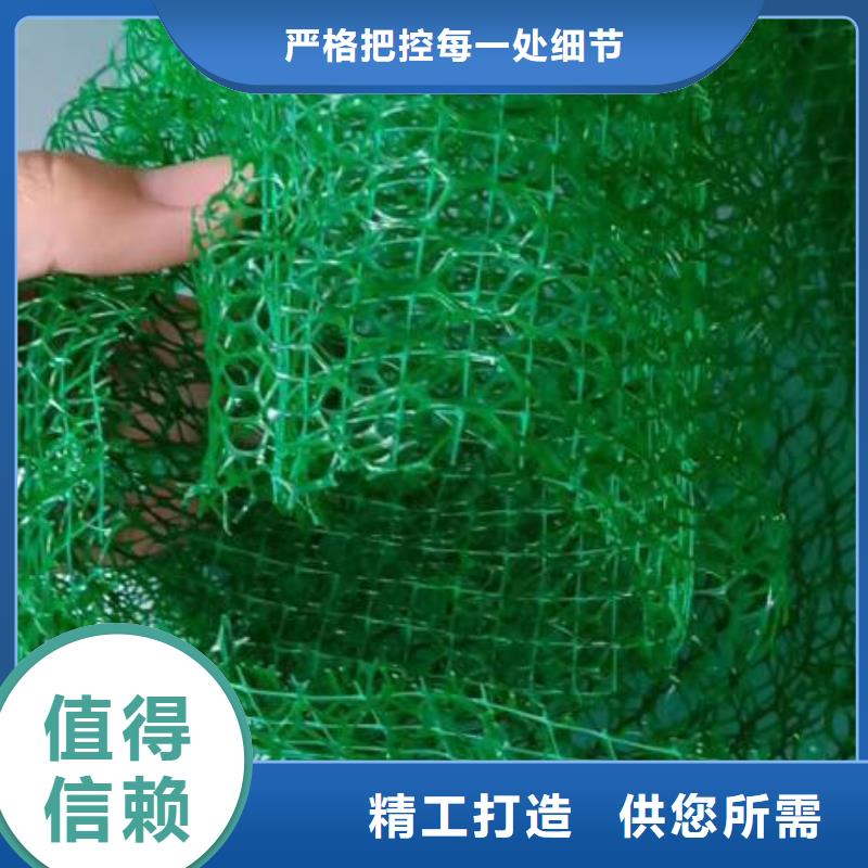 三维植被网聚丙烯网状纤维一手货源